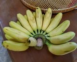 รูปขั้นตอนการทำที่ 1 ของ กล้วยไข่อบลมร้อน💛🍌🍌🍌รอดมั้ยน้าา