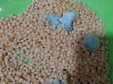 Udang goreng kriuk 2 bahan