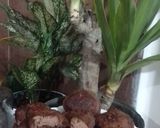 عکس مرحله 1 از دستور کلوچه کاکائویی راحت با بافتی عالی