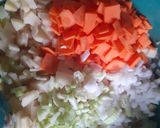 Foto del paso 11 de la receta: Sopa cultivateur campirana