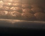 Foto del paso 8 de la receta: Mostaxons de'ametló amb xocolataTortitas de almendra y chocolate