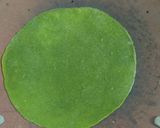 પાલક રોટી (Palak Roti Recipe In Gujarati) રેસીપી સ્ટેપ3ફોટો