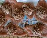 Gombával és sajttal göngyölt pulykamell recept fázis 3 fotója