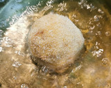 Foto del paso 8 de la receta: Bomba de "La Cova Fumada" (Barceloneta)
