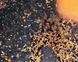 A picture of step 2 of Achari Tamatar ki Chutney (Ramzan Special).