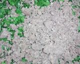 صورة لخطوة 3 من وصفة شيخ المحشي