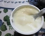 Foto del paso 2 de la receta: Postre light de gelatina y yogur