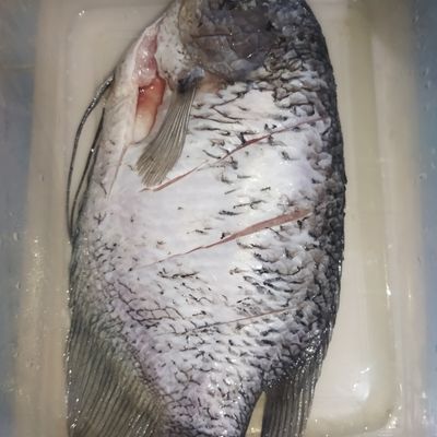 Langkah 1