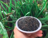 Hình bước làm 9 của món Muối Mè
