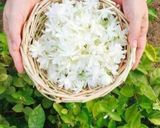 صورة لخطوة 1 من وصفة شكوشوكة خفيفة 😍😍😍