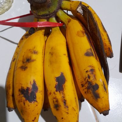 Langkah 1