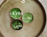A picture of step 5 of कड़ी पत्ते की चटनी (Curry Leaves Chutney Recipe In Hindi).