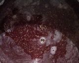બીટ - ગાજર શોર્ટ્સ (beet-gajar shots recipe in gujarati) રેસીપી સ્ટેપ1ફોટો