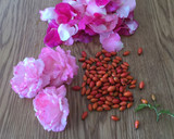 Foto del paso 1 de la receta: Mermelada de pétalos de rosa