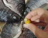 Foto langkah ke 1 dari resep Ikan Goreng Bumbu Kuning.