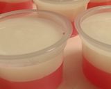 Foto langkah ke 2 dari resep Puding Kribo.