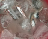 Foto del paso 2 de la receta: 🐟Boquerones en vinagre🍇