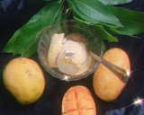 मैंगो आइसक्रीम (Mango Icecream recipe in hindi) रेसिपी चरण 7 फोटो