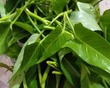 Foto langkah ke 1 dari resep Cah Kangkung Rawit.
