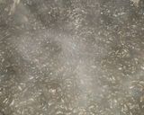 Foto del paso 5 de la receta: Risotto de arroz negro