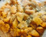 A picture of step 7 of Frozen Chicken Tikka Chunks.