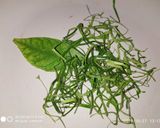 Foto langkah ke 6 dari resep Sate Lilit Goreng.