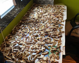 Foto del paso 3 de la receta: Harina de Boletus deshidratados