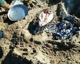 Foto del paso 3 de la receta: Palometa de mar a la parrilla (en la playa)