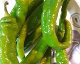 Green Chili Stew recipe step 1 photo