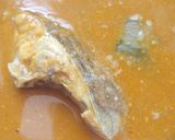 A picture of step 6 of Coconut fish curry.