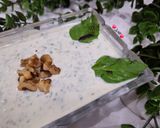 عکس مرحله 3 از دستور ماست و ریحان (ماست چکیده طعم دار)😋