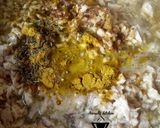A picture of step 9 of Potato soup with orange zest rice.