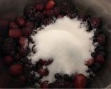 Erdei gyümölcsös sajttorta recept fázis 1 fotója