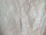 فطائر بالدجاج