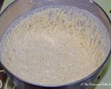 A picture of step 9 of Homemade Panettone.
