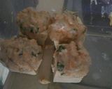 Foto langkah ke 7 dari resep Siomay udang.