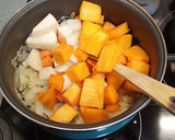 Foto del paso 3 de la receta: Crema de calabaza a la sidra