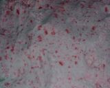 A picture of step 5 of Chocolate Land Cake.