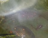 A picture of step 17 of Golden balls in green gravy.