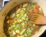 Sopa Andina: veggie + quinoa soup - vegan recipe step 3 photo