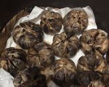 Foto langkah ke 3 dari resep Black Garlic - bawang putih fermentasi.