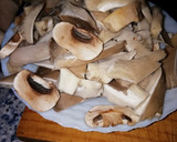 Foto del paso 1 de la receta: Es Tiempo de Setas 🍄🌹💐🍀💚♥️😋🤗🍷🧡💖