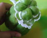 Foto langkah ke 1 dari resep Labu Siam Kuah Santan Pedas.