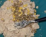 Foto del paso 4 de la receta: Milanesas de soja caseras