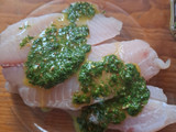 Filetes de pescado blanco marinados con cilantro y aceite de oliva