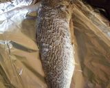 A picture of step 1 of Oven baked fish.