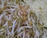 Foto langkah ke 4 dari resep Soto Ayam Salatiga.
