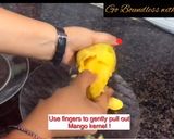 A picture of step 5 of Stuffed Mango Kulfi.