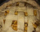 A picture of step 5 of Green Papaya Pie.