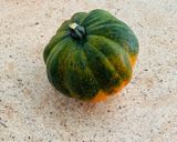 Foto del paso 1 de la receta: Calabaza de bellota al horno/Acorn Squash